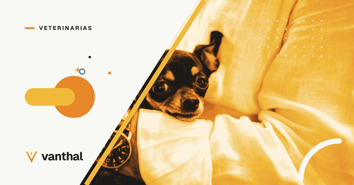 Vanthal para veterinarias